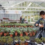 formation en horticulture_apprentis d'auteuil